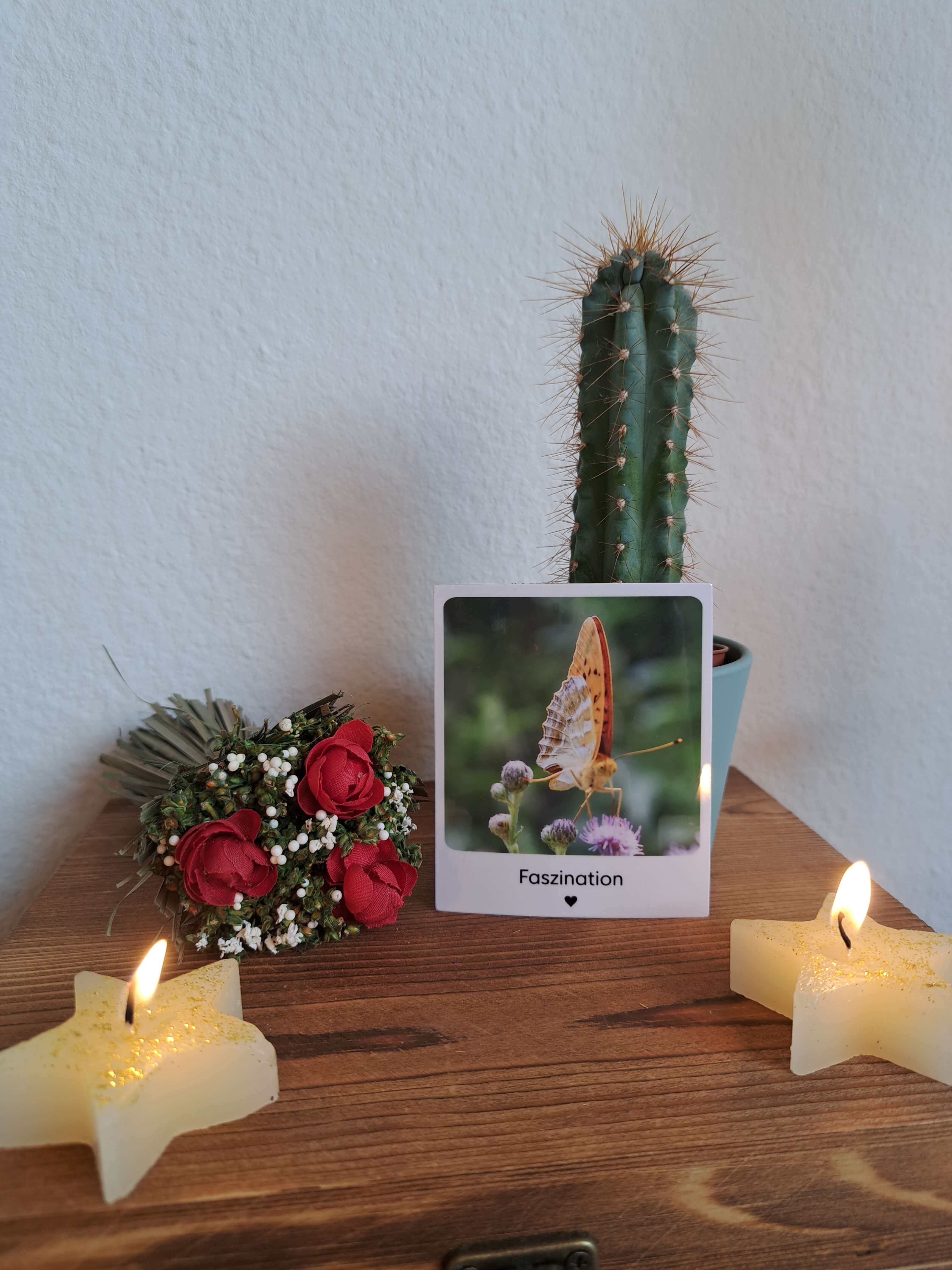 Kunst Pause - Fotomagnet Faszination