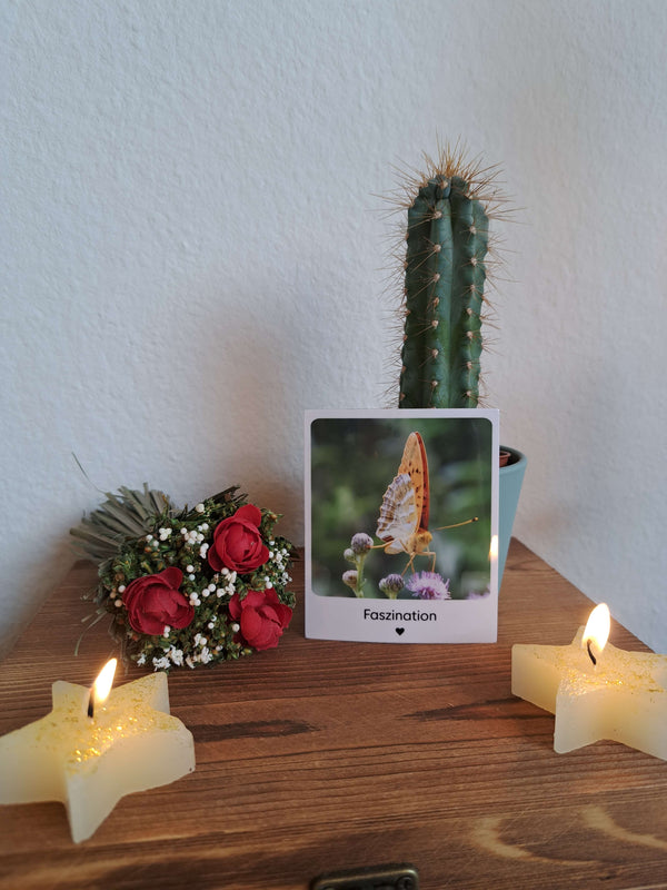 Kunst Pause - Fotomagnet Faszination