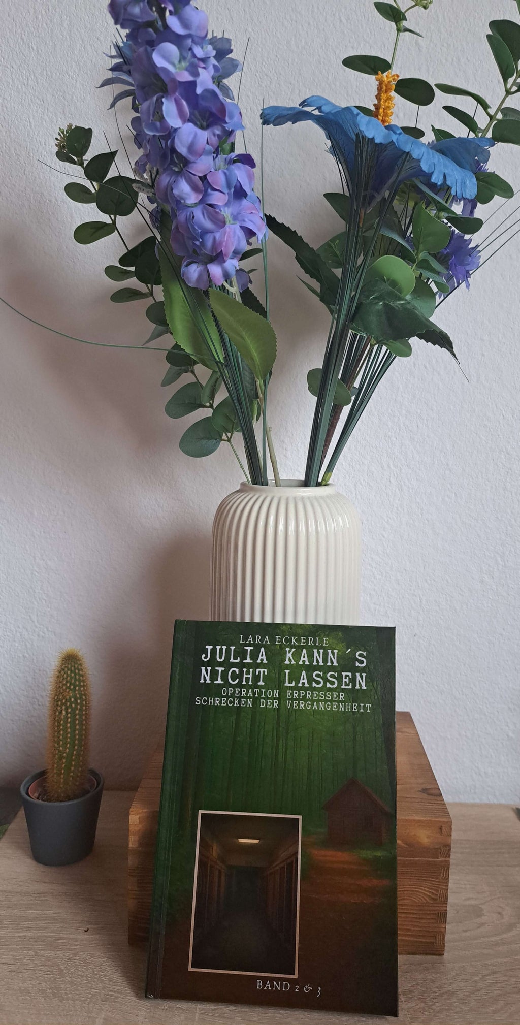 Kunst Pause - Julia kann´s nicht lassen - Operation Erpresser (Band 2) & Schrecken der Vergangenheit (Band 3)