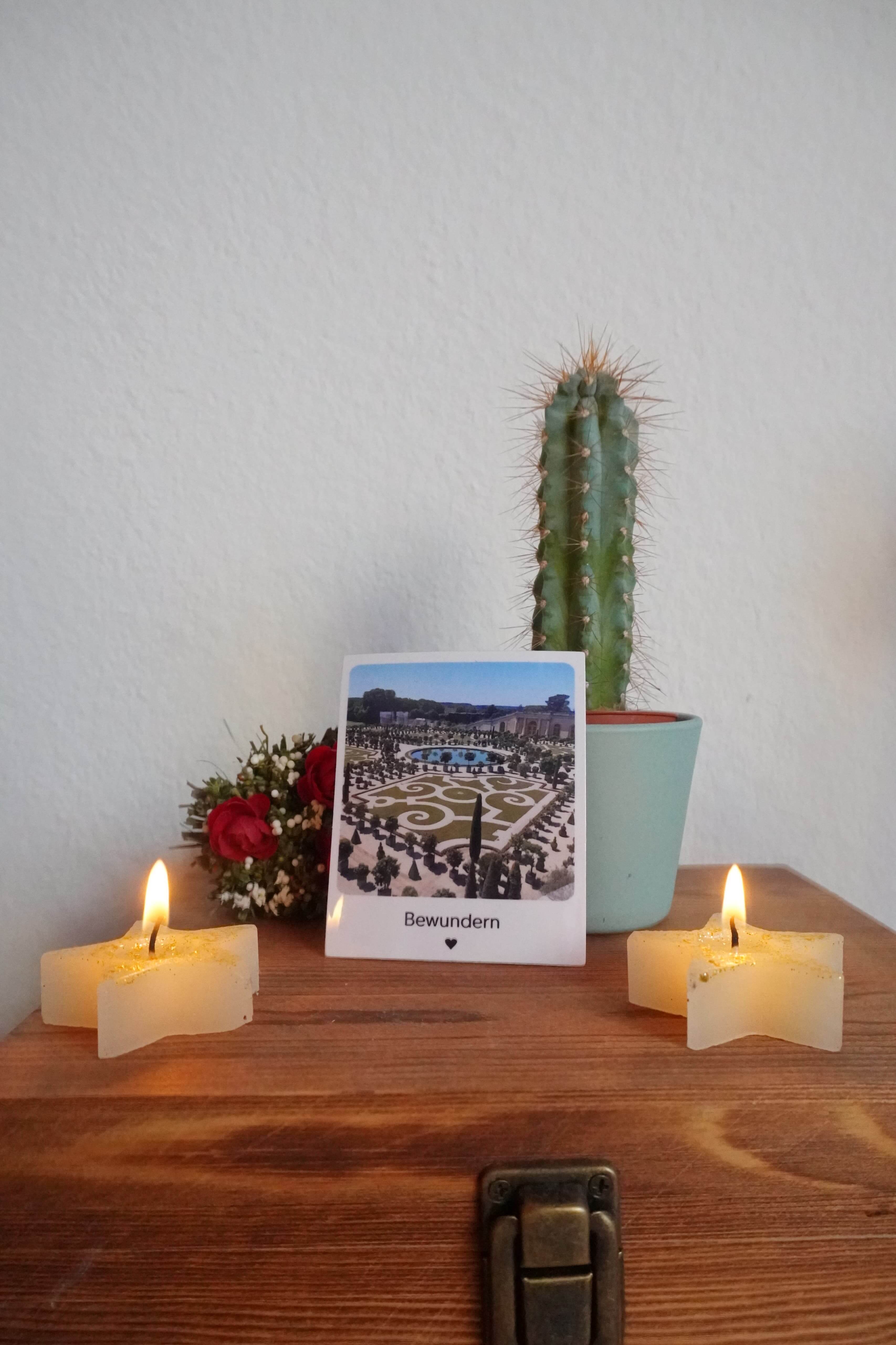 Kunst Pause - Fotomagnet Bewundern