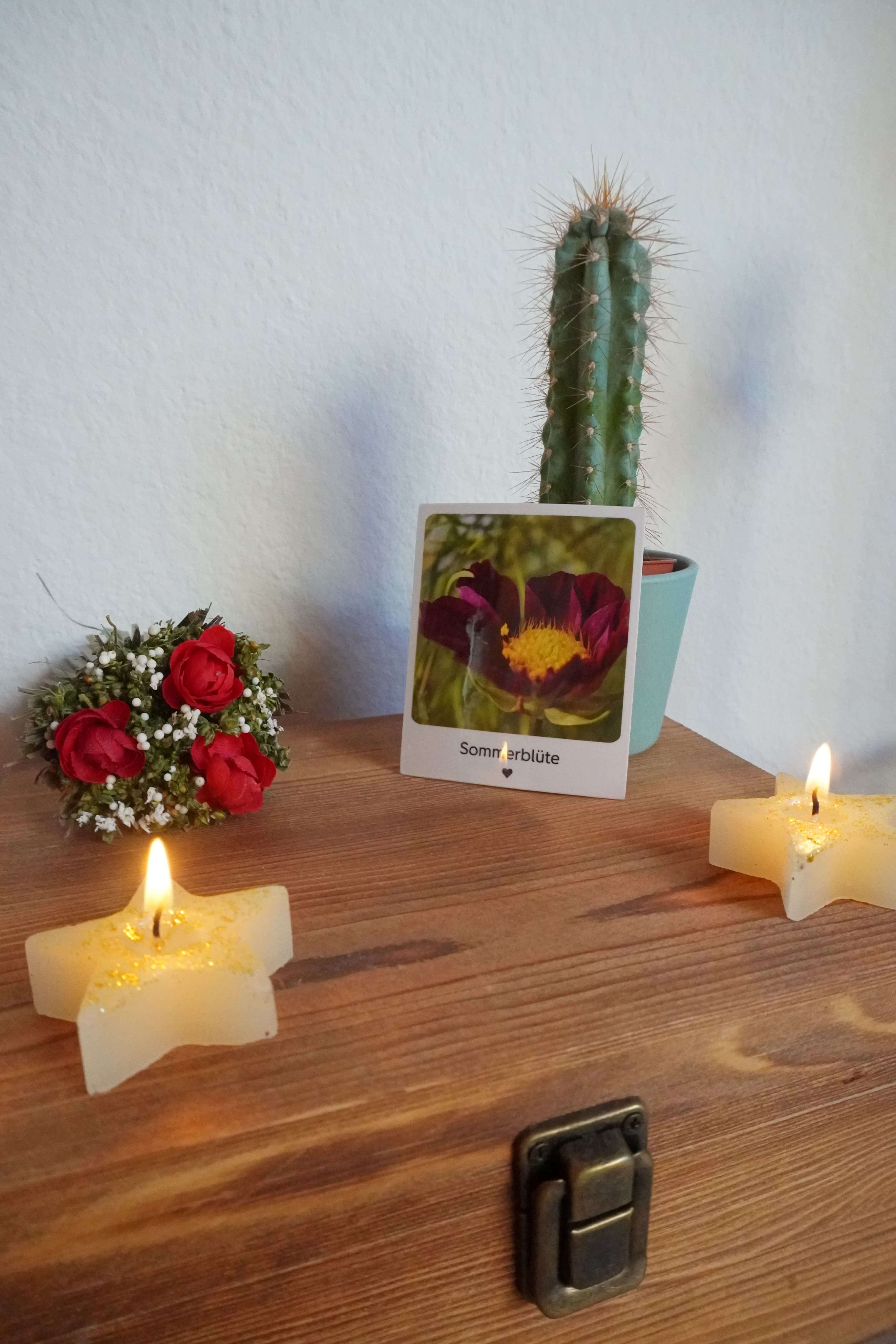 Kunst Pause - Fotomagnet Sommerblüte