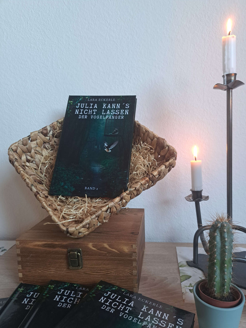 Kunst Pause - Julia kann’s nicht lassen – Der Vogelfänger (Band 1)