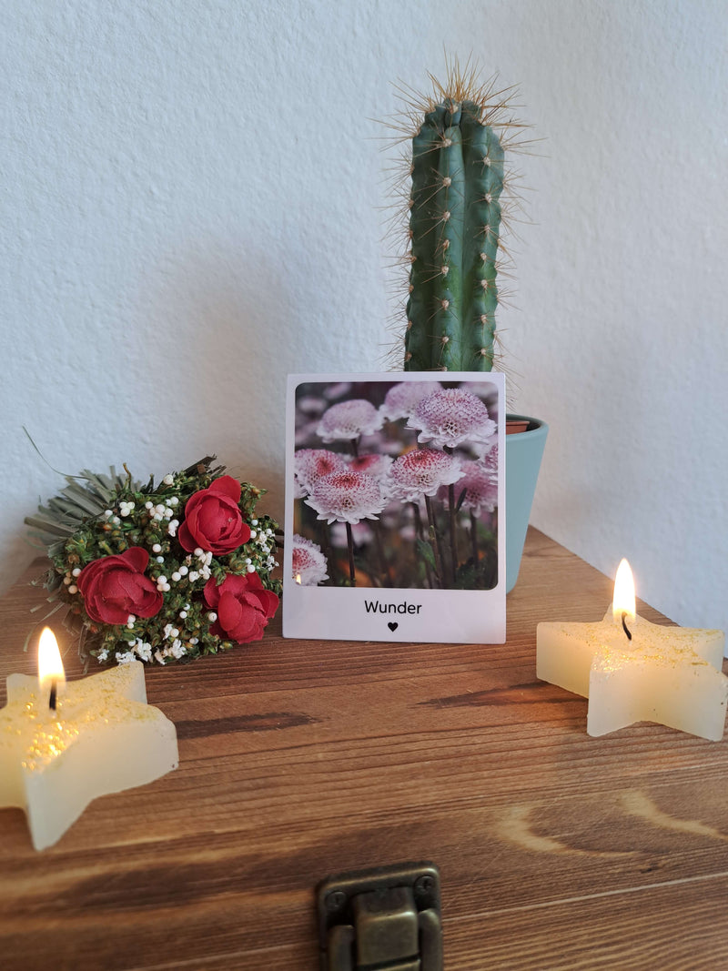 Kunst Pause - Fotomagnet Wunder